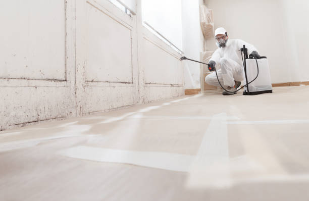24/7 Emergency Commercial Mold Remediation experts in Ashland, VA
