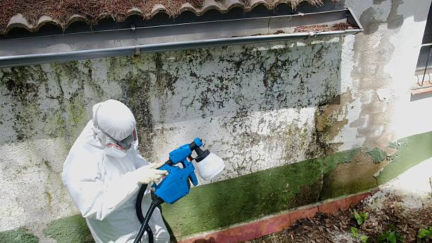 Top rated local Commercial Mold Remediation specialists in Ashland, VA